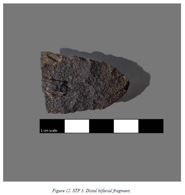Shenandoah Archeology